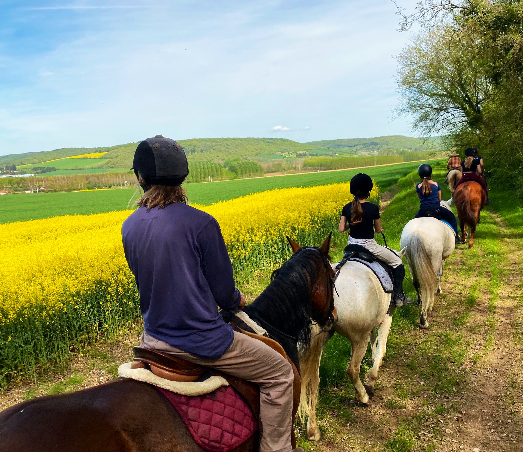 balades à cheval avec vue panoramique sur la campagne - centre équestre du centaure