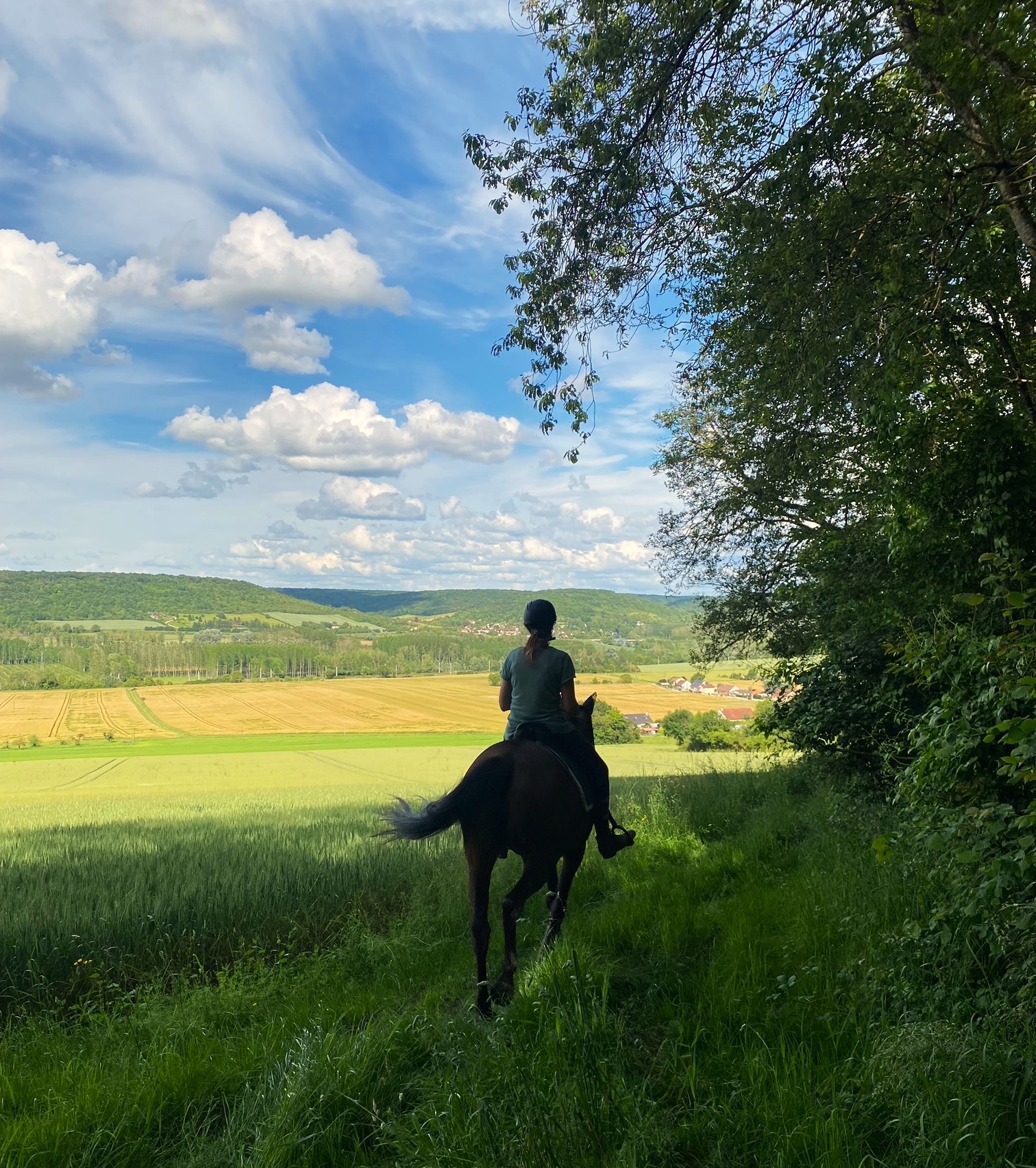 A cheval avec vue panoramique sur la campagne - centre équestre du centaure