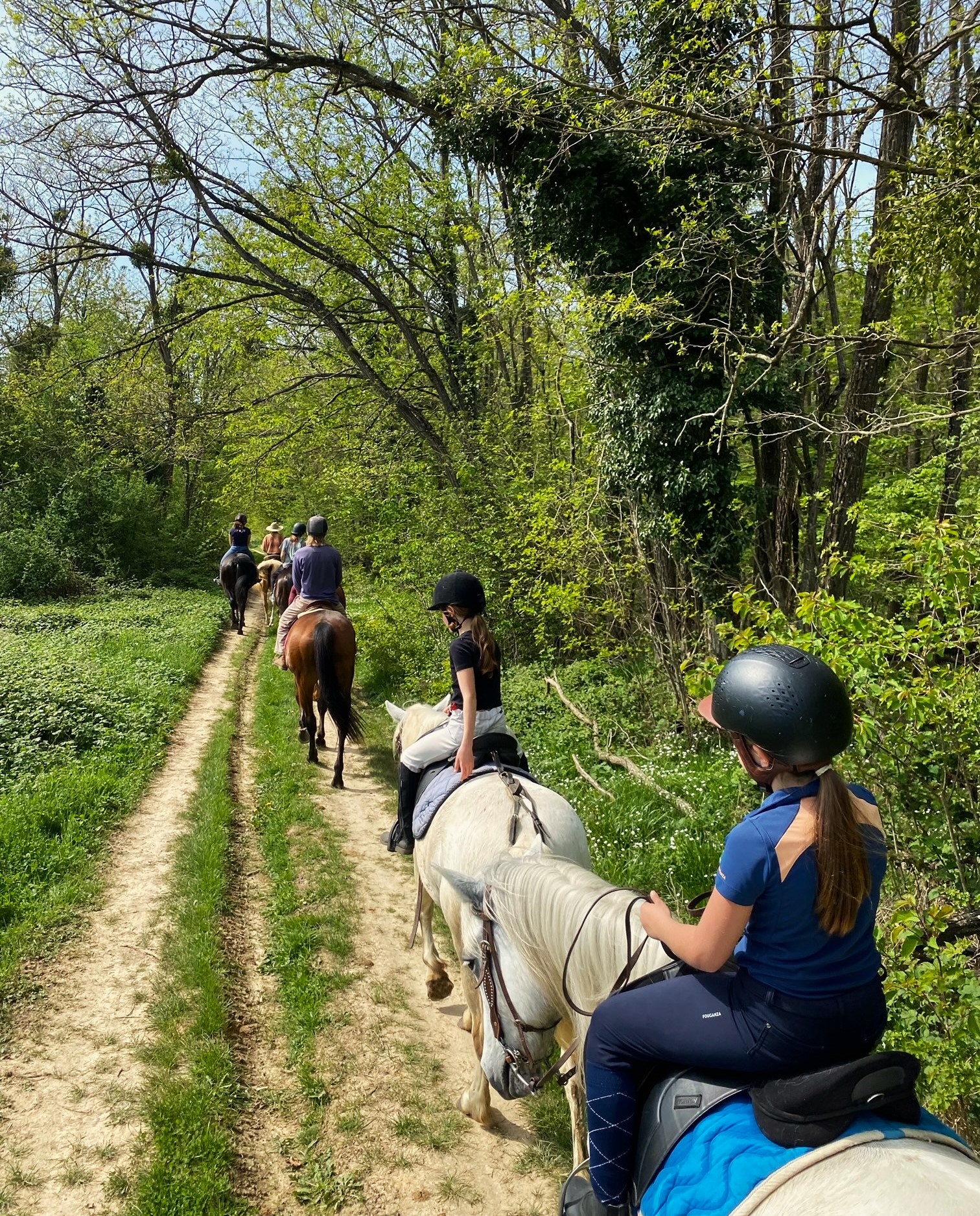 balades à poney - centre équestre du centaure